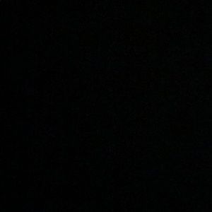 Meet your Posher, Liza